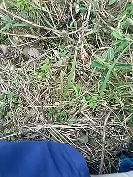 Nkumar173 online show from November 8, 11:54 am