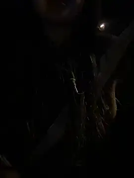 Snapshot of -mirai- chatting on February 28, 3:04 pm -mirai- online show from February 28, 3:04 pm