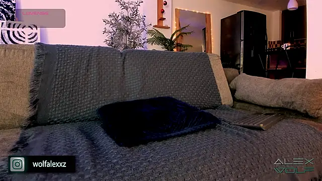 alex wolf  online show from February 8, 2:04 am