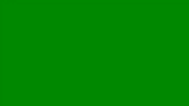 Snapshot of pardinha chatting on October 14, 9:59 pm pardinha online show from October 14, 9:59 pm
