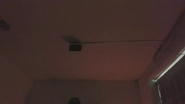 Paloma victory online show from April 4, 5:10 pm