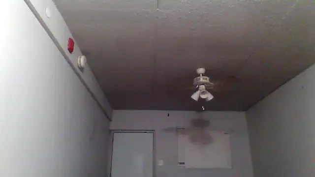 bigdick5157 online show from October 7, 10:56 am