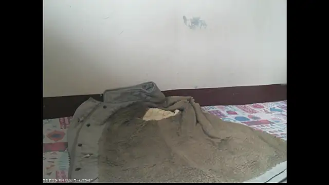triangle0623 online show from December 20, 5:47 am