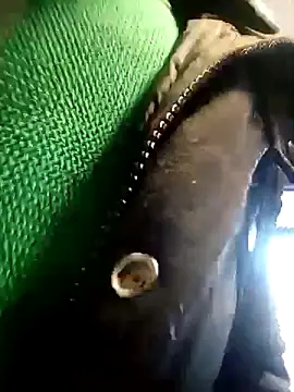 BZHsex online show from March 9, 5:28 pm