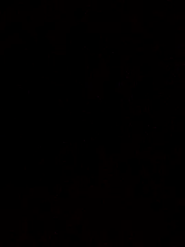 Flaquito pitudo online show from March 18, 10:36 am