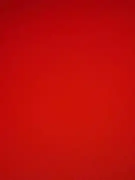 Melissa crazy online show from December 9, 3:22 pm