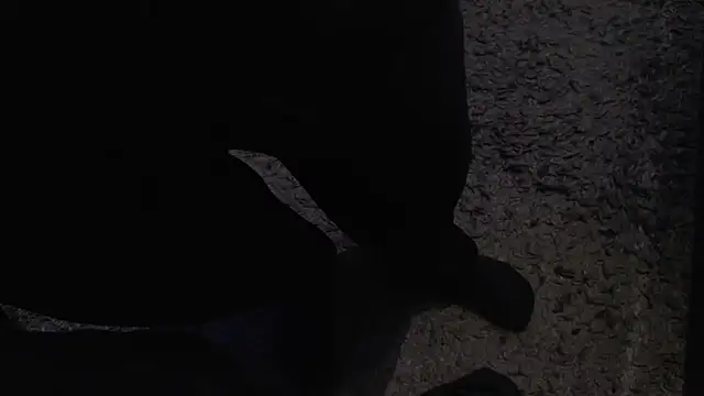 Bjuiced online show from November 4, 2:43 am