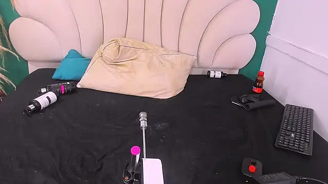 Snapshot of bonieklent chatting on February 20, 6:28 am bonieklent online show from February 20, 6:28 am