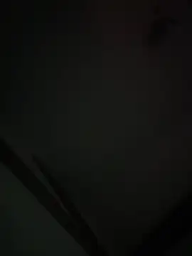 Xcum28 online show from February 2, 12:02 pm