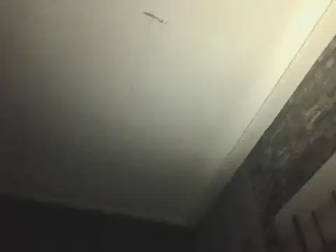 Snapshot of Prehistorixxx2686 chatting on January 12, 6:28 am Prehistorixxx2686 online show from January 12, 6:28 am