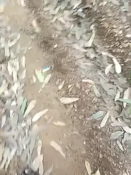 indiasexmf online show from December 16, 9:58 am