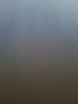 pachapeter online show from April 20, 12:52 pm