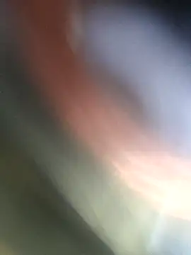 jasss-11 online show from November 4, 5:23 pm