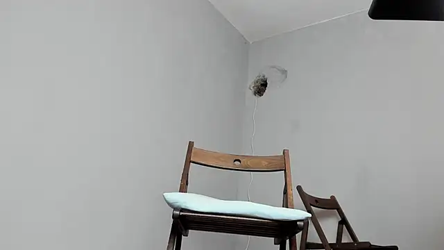 Master Mark Wayne online show from October 15, 6:52 pm