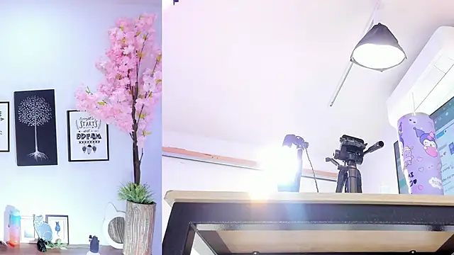 Siouxsie cenobite online show from October 15, 11:32 am