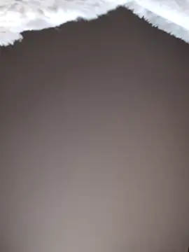 No-ties-fk online show from February 8, 1:14 pm