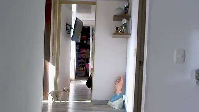 Snapshot of adan_eva960 chatting on September 9, 12:59 pm adan eva960 online show from September 9, 12:59 pm