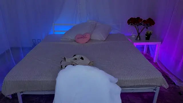 Hayle Hill online show from November 8, 4:45 am