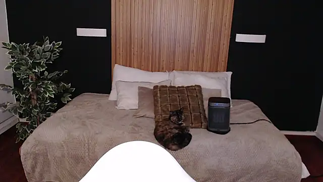 dafne bss online show from March 6, 5:03 am