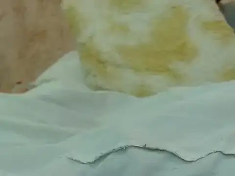 Snapshot of hairy_pussywet chatting on February 4, 12:40 am hairy pussywet online show from February 4, 12:40 am