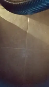 Snapshot of whitetrashdirtyslut chatting on December 4, 3:16 am whitetrashdirtyslut online show from December 4, 3:16 am