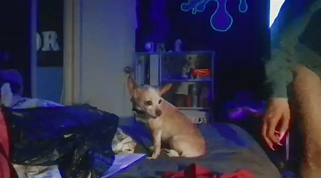 watermellonpussy online show from December 28, 5:55 am