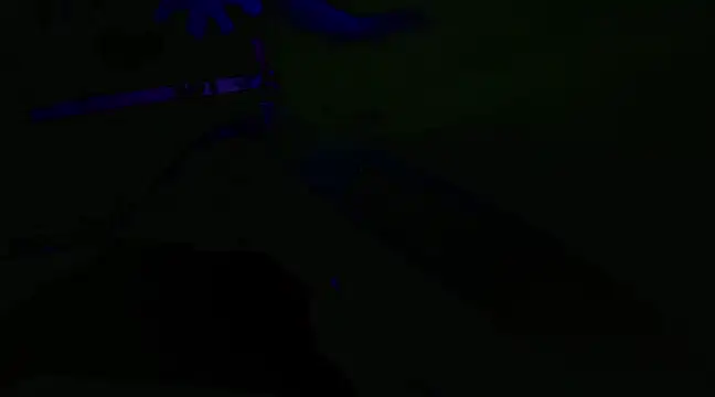 watermellonpussy online show from January 29, 3:54 am