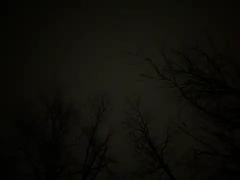 watermellonpussy online show from March 23, 6:37 am