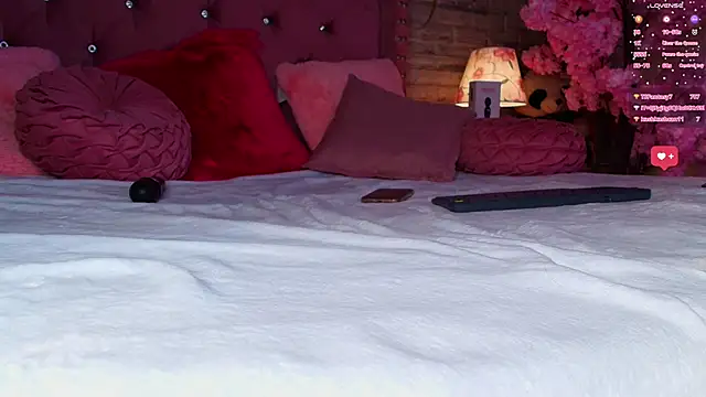 AuroraSim online show from February 20, 4:14 pm