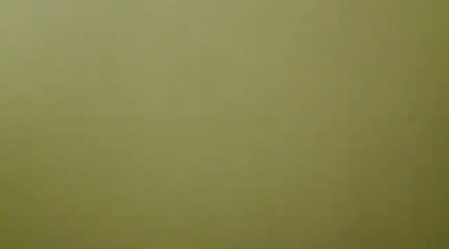  Blue Ruubyy  online show from February 1, 12:37 pm