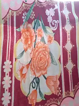 Snapshot of Burhade-- chatting on December 30, 11:48 am Burhade-- online show from December 30, 11:48 am