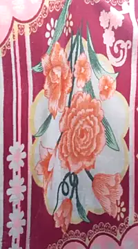 Snapshot of Burhade-- chatting on January 2, 1:49 am Burhade-- online show from January 2, 1:49 am