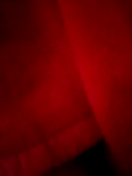 nikshows online show from January 9, 9:45 am