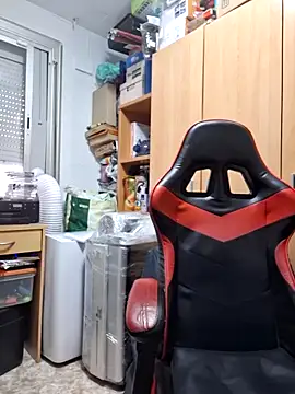 Javier bear online show from November 6, 2:07 pm