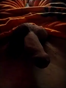 Snapshot of Luiz_097 chatting on September 13, 6:46 am Luiz 097 online show from September 13, 6:46 am