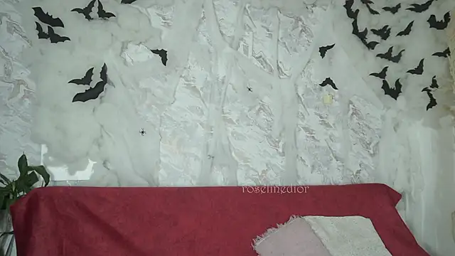 roselinedior online show from October 28, 1:14 pm