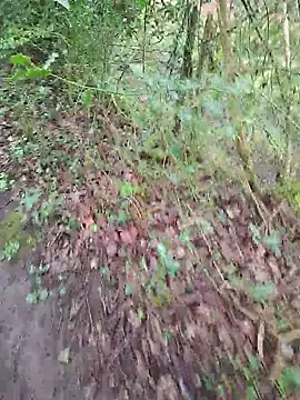 FreezingTie850 online show from April 14, 10:10 am