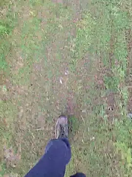 FreezingTie850 online show from April 16, 7:53 am