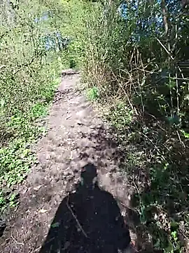 FreezingTie850 online show from April 24, 9:45 am