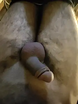 NilsonDick online show from April 29, 2:32 pm