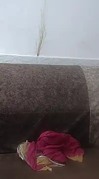 Aaradhya online show from February 24, 3:33 am