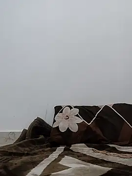 Aaradhya online show from April 21, 1:42 am