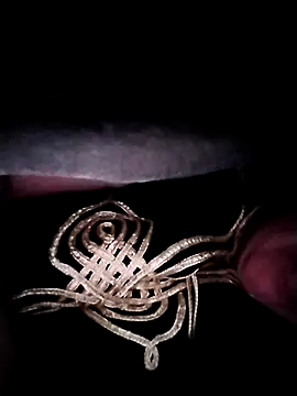 Snapshot of nayakaA7 chatting on November 21, 4:44 am nayakaA7 online show from November 21, 4:44 am