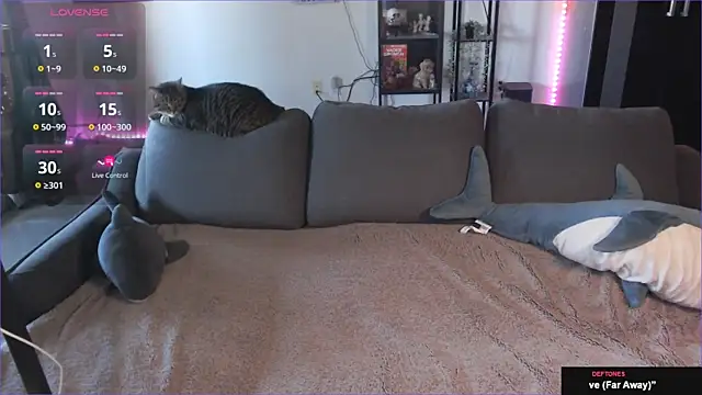 Clairedelilah online show from January 21, 8:32 pm