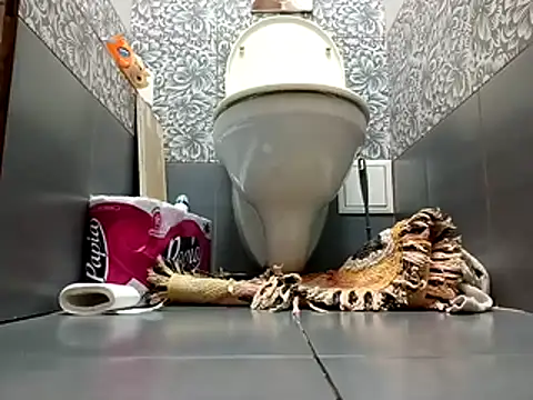 zsd off online show from November 8, 12:27 pm