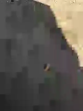 Beijing2000 online show from January 27, 5:14 am