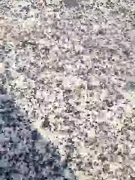 Beijing2000 online show from January 30, 12:39 am