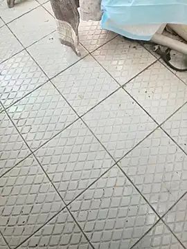 Beijing2000 online show from November 26, 6:03 am