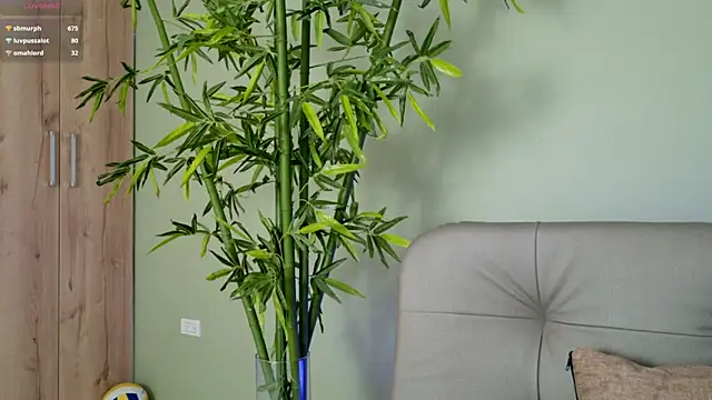 Snapshot of were-Naughty chatting on February 27, 11:15 pm were-Naughty online show from February 27, 11:15 pm