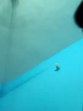 Snapshot of Crezy-Queen01 chatting on October 15, 5:46 pm Crezy-Queen01 online show from October 15, 5:46 pm